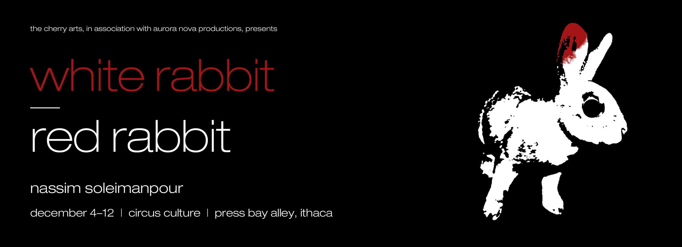 white rabbit red rabbit